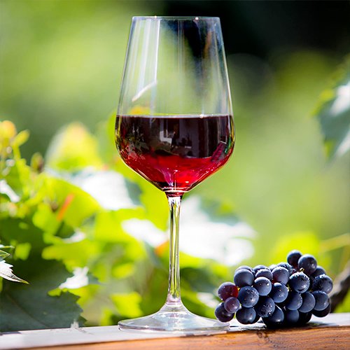 enogastronomico pian di casciana